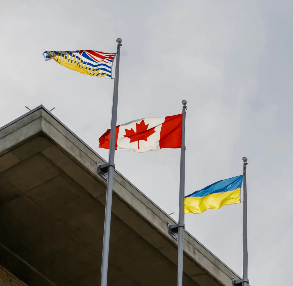 The Role of Canada’s Municipalities in Protecting Seniors Against Cybercrime 